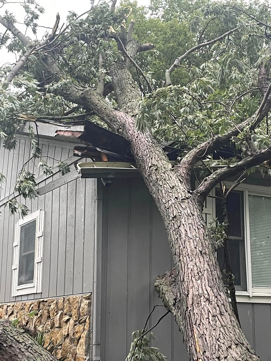 Storm-damaged tree resting on a house roof